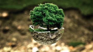Arbre