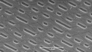 Des creux et des plats sur un cd