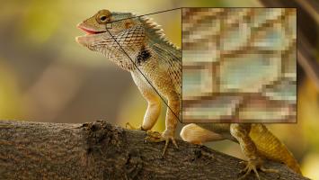 pixel
