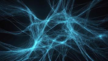 Neural
