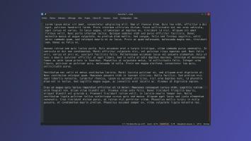 texte brut