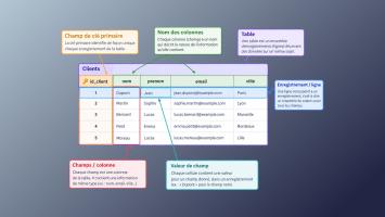 éléments d'une table de base de données